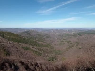 Виканата скала
