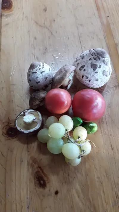 Ресторант "Брезите" с. Железница