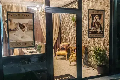 Груминг салон My Beauty Dog