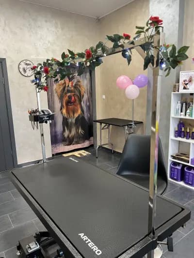 The Smini Groomer Pet Studio Фризьорско Студио за Кучета