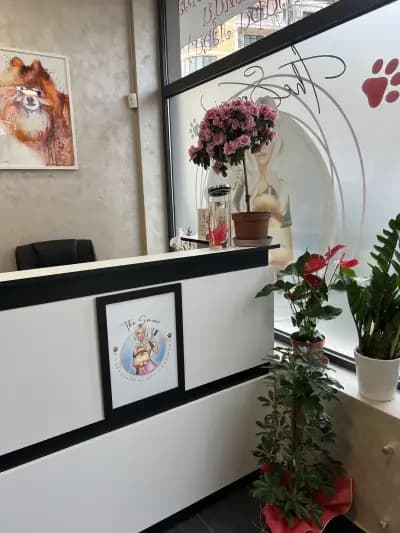 The Smini Groomer Pet Studio Фризьорско Студио за Кучета