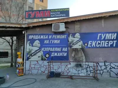 ГУМИ ЕКСПЕРТ