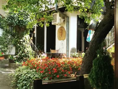 Oazis Guesthouse