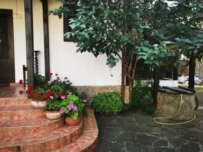 Oazis Guesthouse