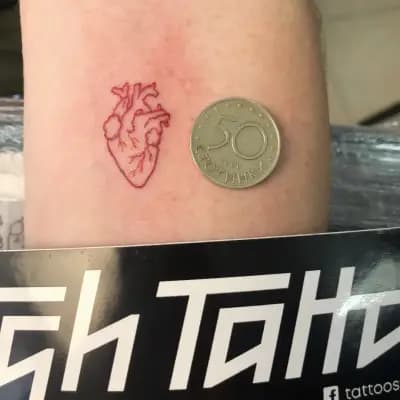 Tatoo Studio Tush