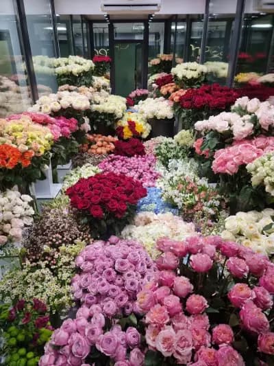 Freesia Flower Boutique