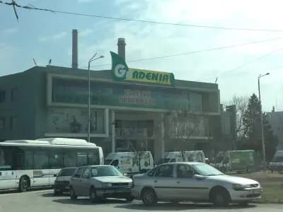 Гардения Антана