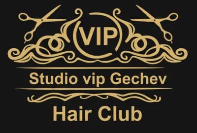 Studio VIP Gechev
