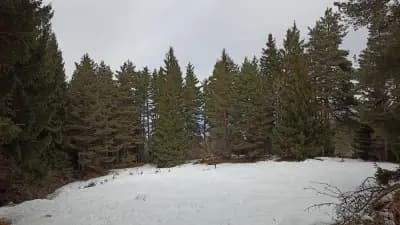 Екопътека „Драгостинов чарк“