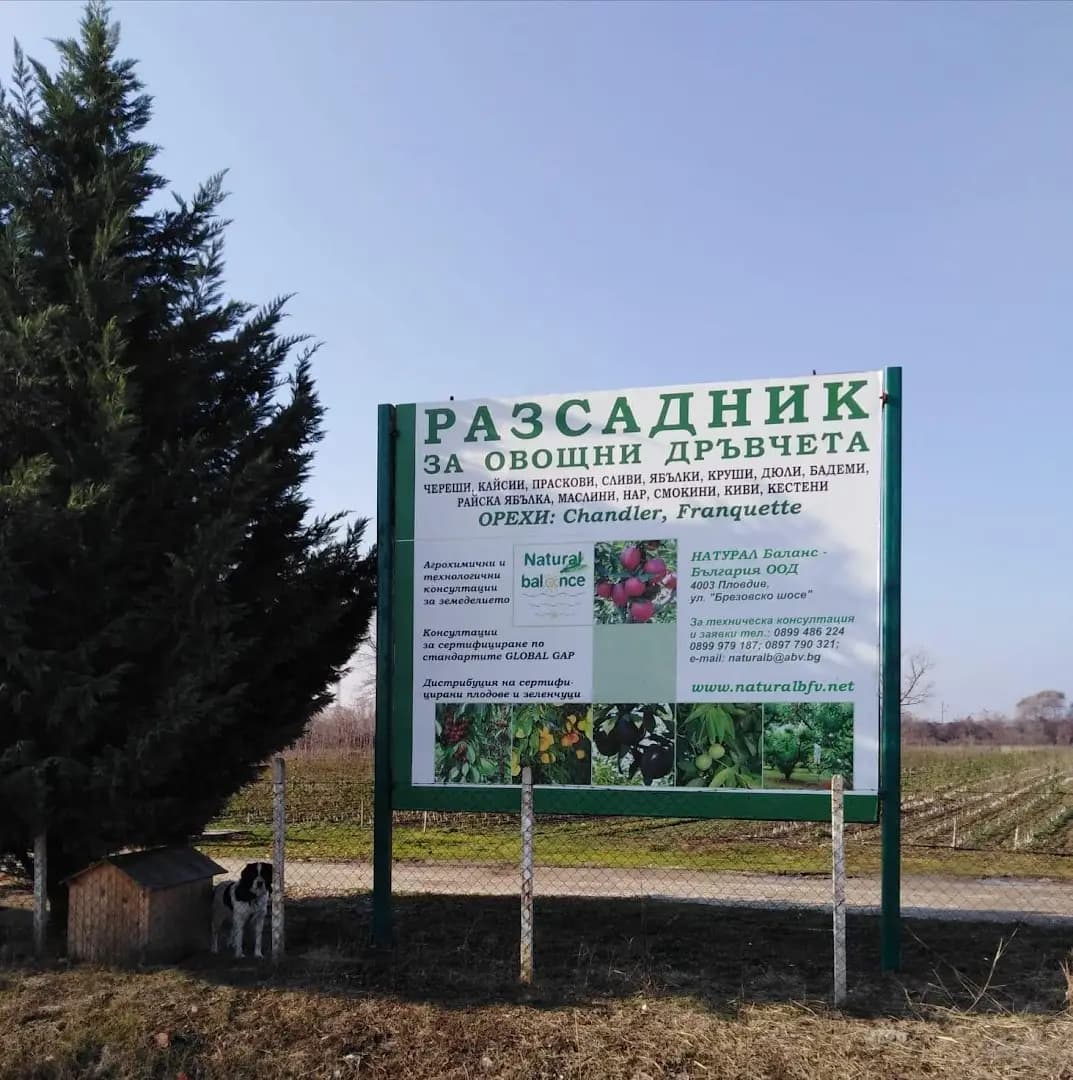 Natural Balance - Bulgaria OOD І Разсадник за овощни дръвчета І Производство и търговия на посадъчен материал