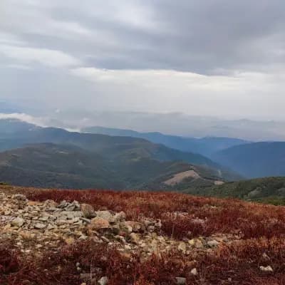 Хижа Мургаш