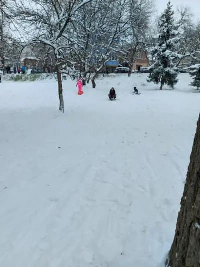 Кучешки парк „Парашутна кула“