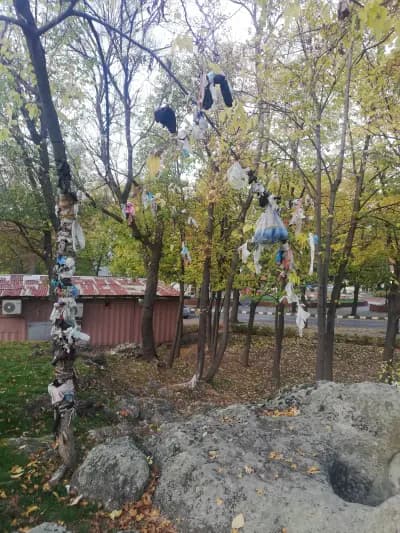 Стъпката, Богородична стъпка