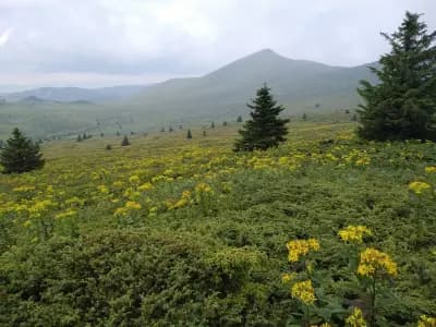 Връх Ком (2016 м.)