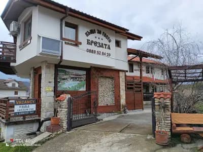 Guest House Brezata - Betula