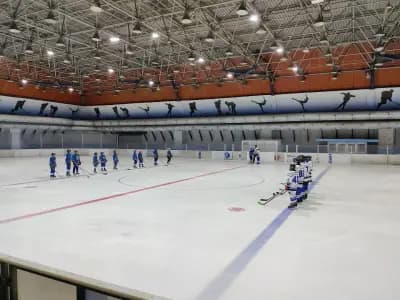 Зимен дворец на спорта