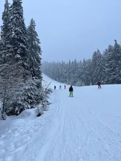 Бъндеришка поляна