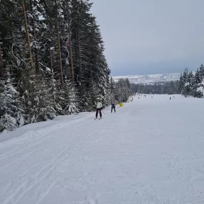 Бъндеришка поляна