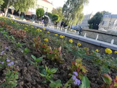 Детска площадка
