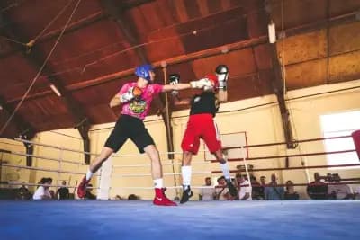 Боксов Клуб Люлин / Boxing Club Lyulin /