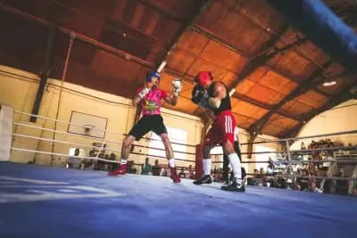 Боксов Клуб Люлин / Boxing Club Lyulin /