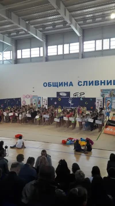 Арена Сливница