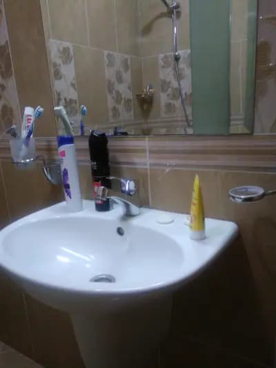 Студиа Авеню