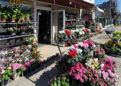 магазин за цветя dessiflorist