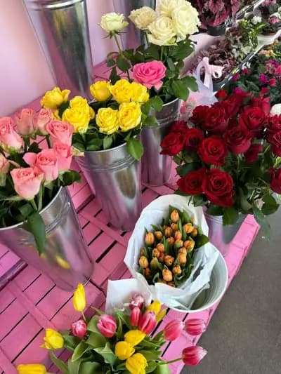 Pink garden Karlovo