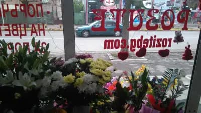 Розите