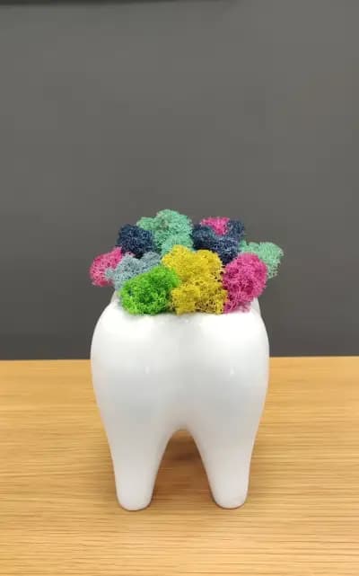 Дентална клиника ЗЪБОРАН - Zaboran dental clinic