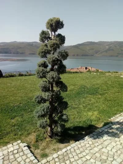 Aparthotel Seasons Glavatarski Han