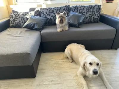 Апартамент Джой