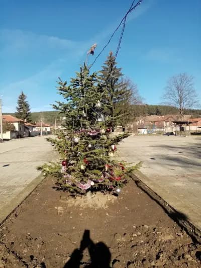 Кметство Рельово