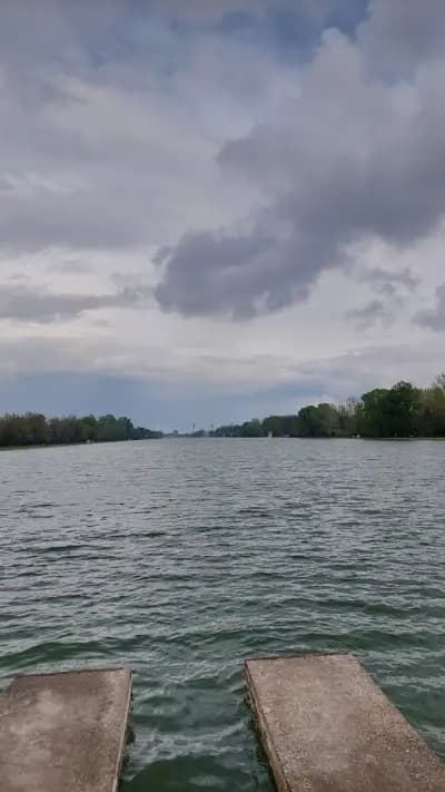 Регата