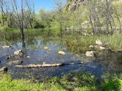 Козел