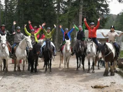 Horse Riding With Butch / Езда и конен туризъм Буч