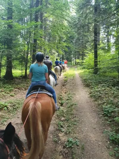 Horse Riding With Butch / Езда и конен туризъм Буч