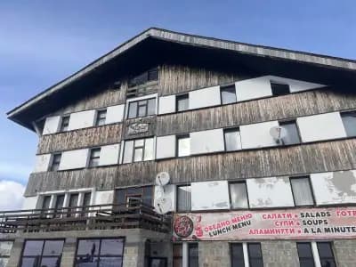 Teodora Koleva/tedibikerunhike- екскурзовод/tour guide, sport & tourism Bulgaria, hiking, biking, running