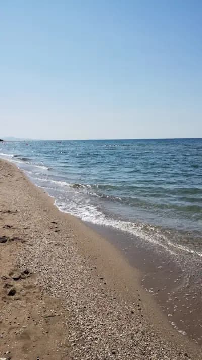 Дани
