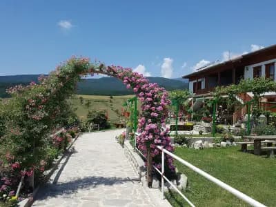 Peri Volas Horse Base