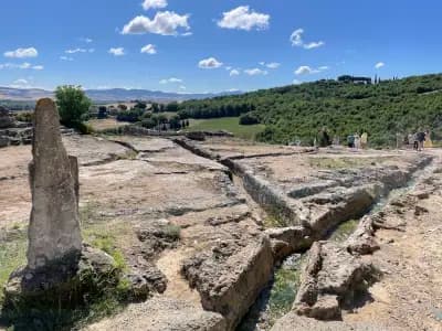 Премио Травел България ЕООД