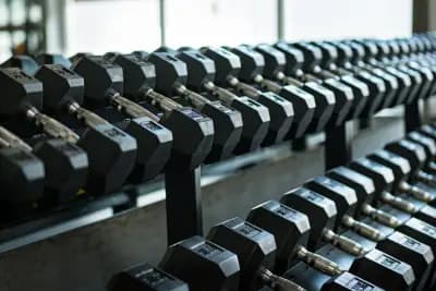 Alpha Gym Vasilev – Фитнес Пловдив