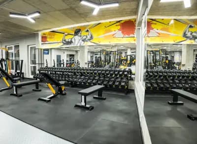 Alpha Gym Vasilev – Фитнес Пловдив