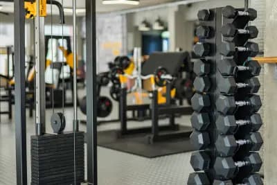 Alpha Gym Vasilev – Фитнес Пловдив