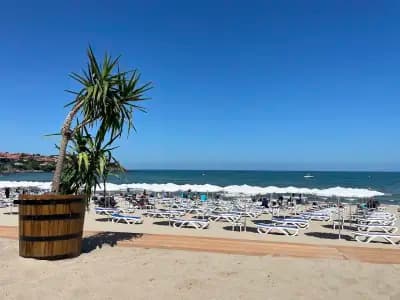 Beach Club 365