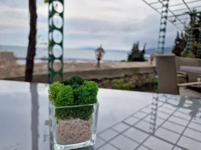 Малеви & Molloy's