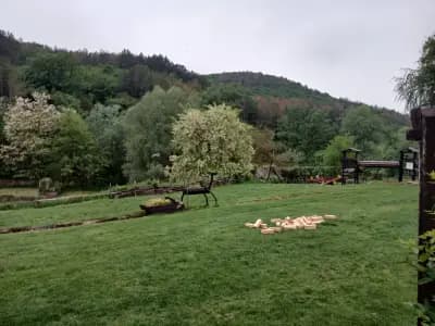 Комплекс Барите