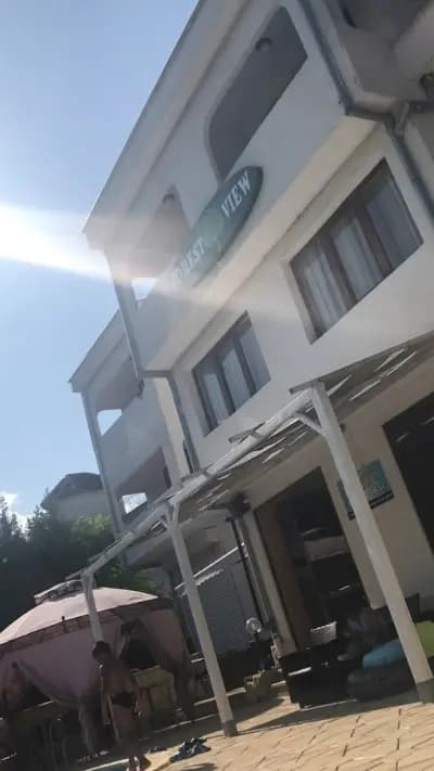 Forest View Inn