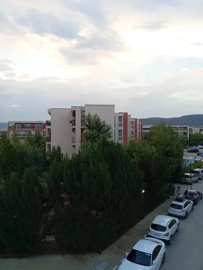 Орхидея Форт Гарден